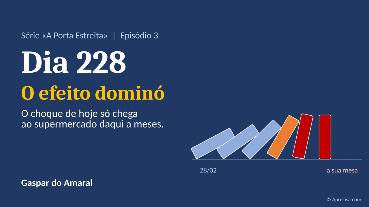 Capa do artigo «Dia 228: O efeito dominó»